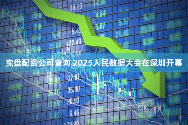 实盘配资公司查询 2025人民数据大会在深圳开幕