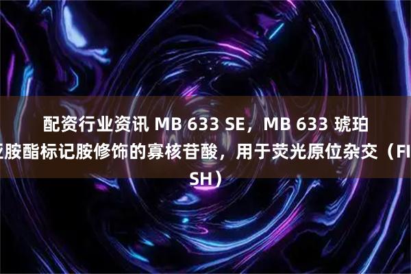 配资行业资讯 MB 633 SE，MB 633 琥珀酰亚胺酯标记胺修饰的寡核苷酸，用于荧光原位杂交（FISH）