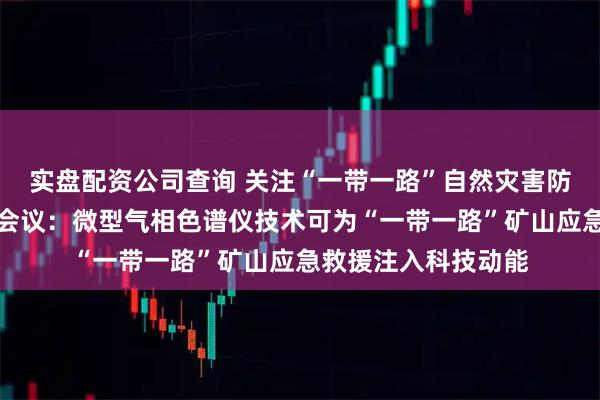 实盘配资公司查询 关注“一带一路”自然灾害防治和应急管理部长会议：微型气相色谱仪技术可为“一带一路”矿山应急救援注入科技动能