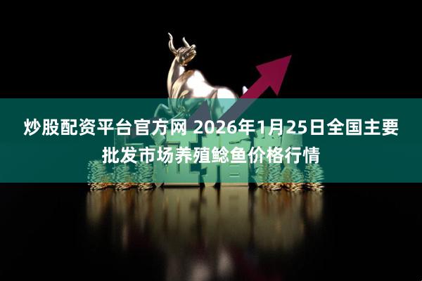炒股配资平台官方网 2026年1月25日全国主要批发市场养殖鲶鱼价格行情